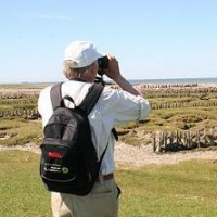 Freiwilliger fotografiert Salzwiesenlandschaft