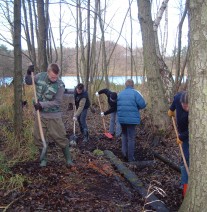 Pilotprojekt 2013: Moorrenaturierung und -sicherung im Müritz-Nationalpark Freiwillige verfüllen mit Schaufeln Gräben im Wald